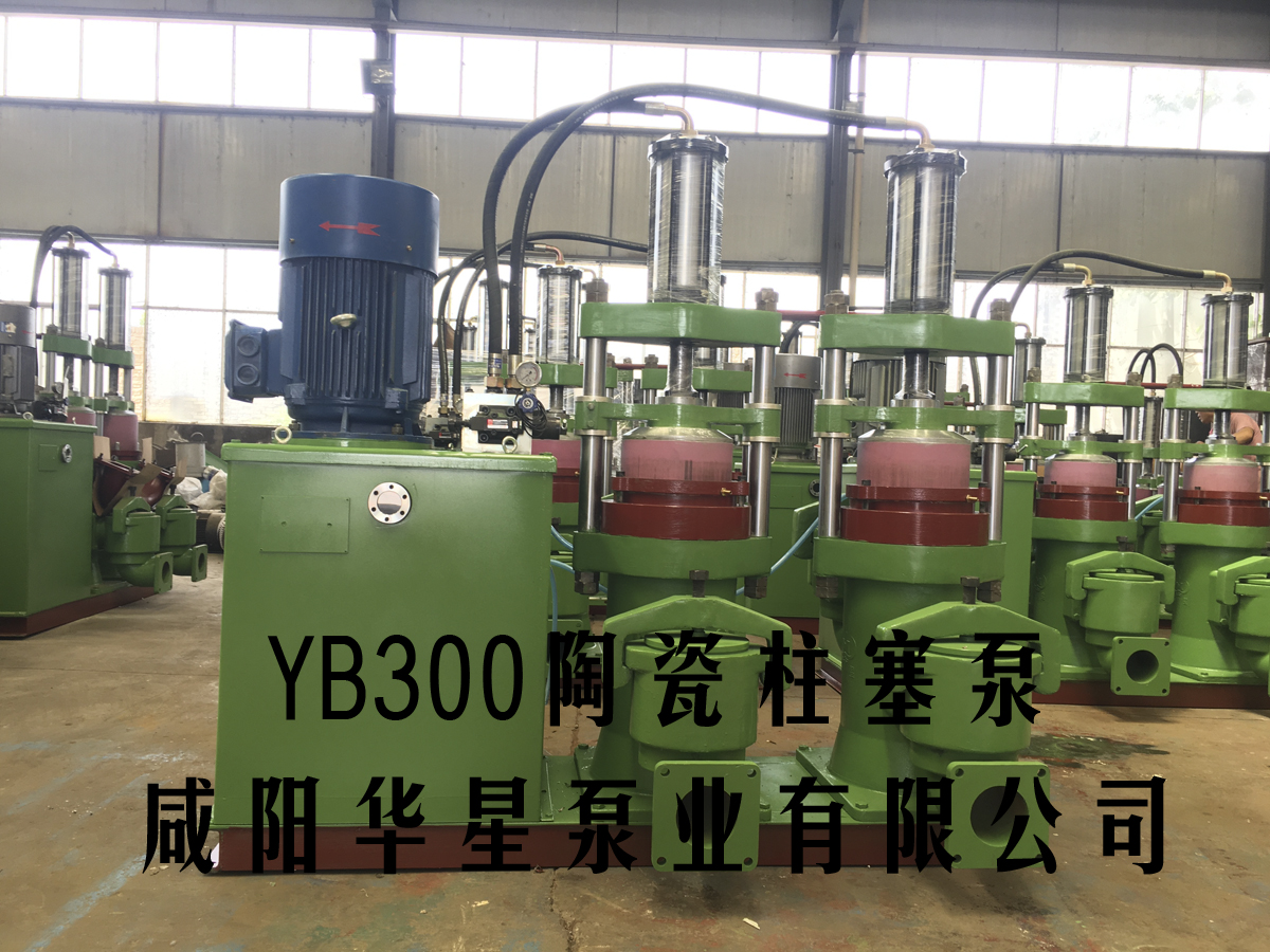 YBH200-19陶瓷柱塞泵